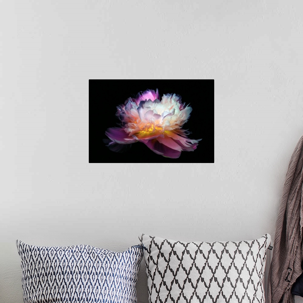 A bohemian room featuring Close-up peony with a negative effect