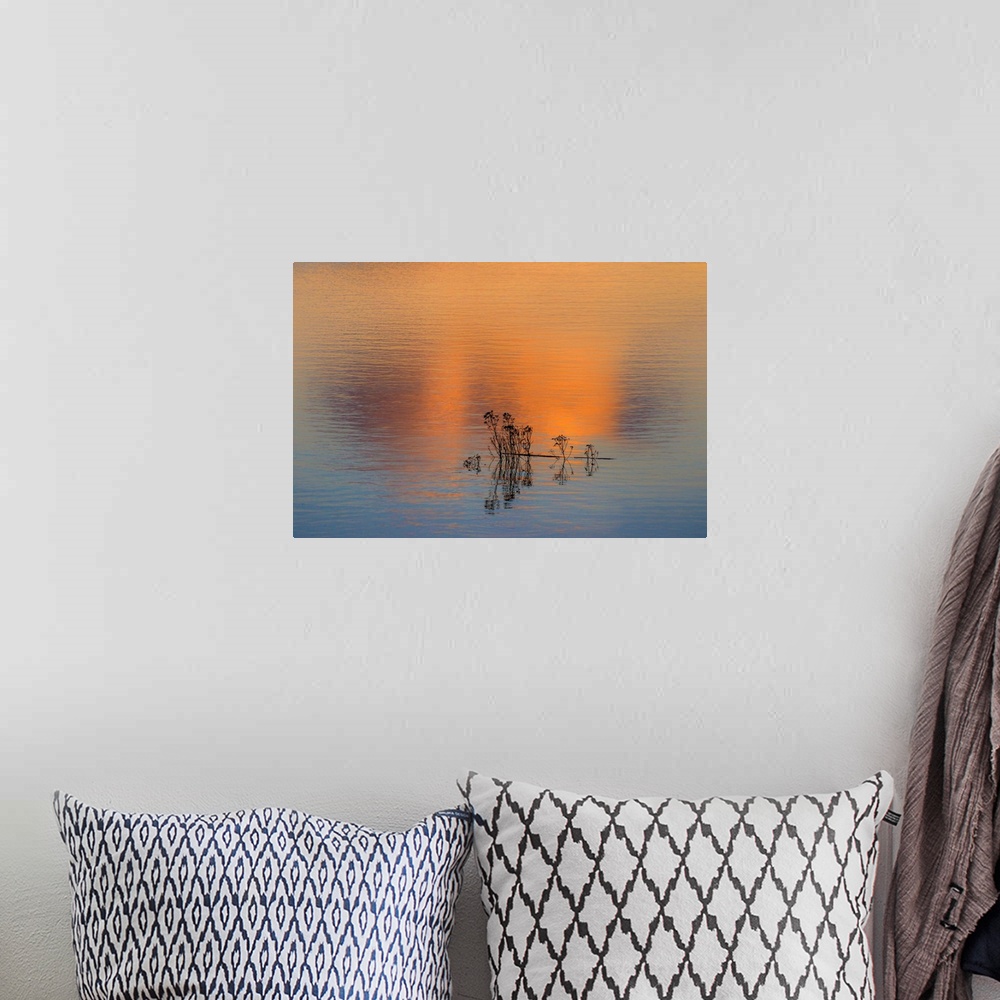 A bohemian room featuring Fine art photo of a small group of silhouetted reeds in a lake at sunset.
