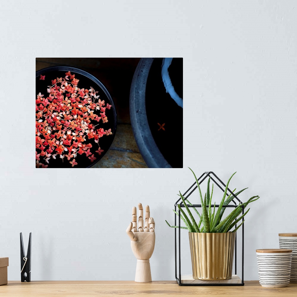 A bohemian room featuring Fine art photograph of pink Jasmine flowers floating in a pot.
