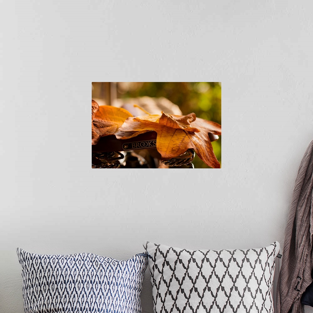 A bohemian room featuring Fine art photo of fallen autumn leaves lying on a bicycle seat.