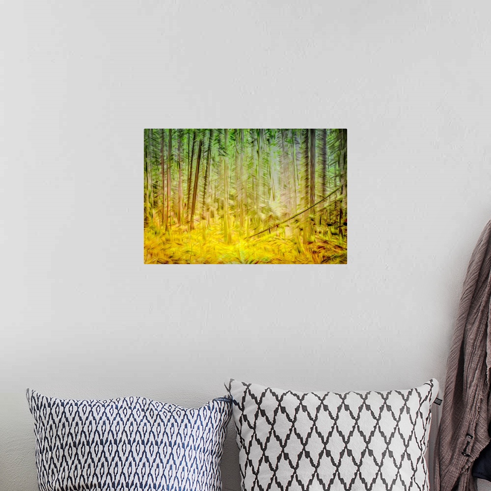 A bohemian room featuring Sunlight forest scene captured with In-Camera-Movement and multiple exposure.