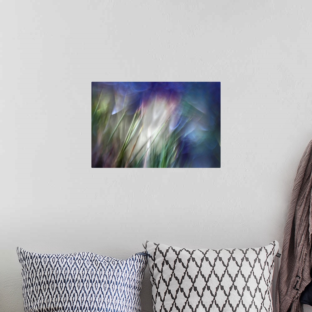 A bohemian room featuring Close up abstract photography of blurry stems of grass.