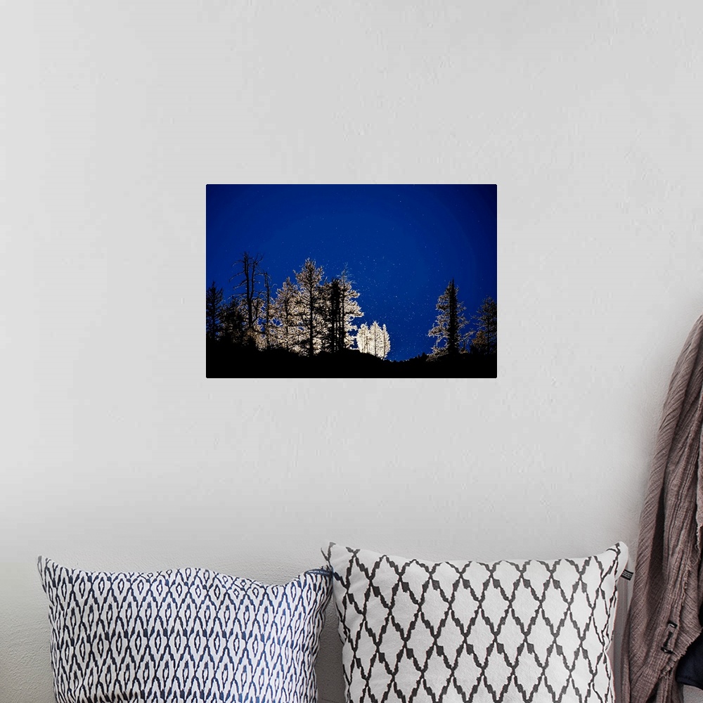 A bohemian room featuring A photo of a line of trees that have a glow outline against a dark blue sky.