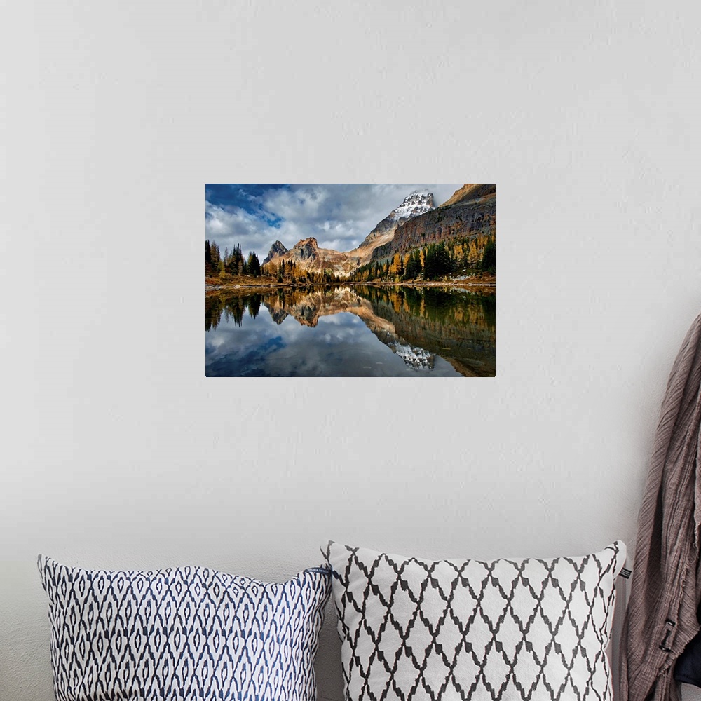 A bohemian room featuring An image made in late September in the Lake O'Hara area in British Columbia, Canada. This is in t...
