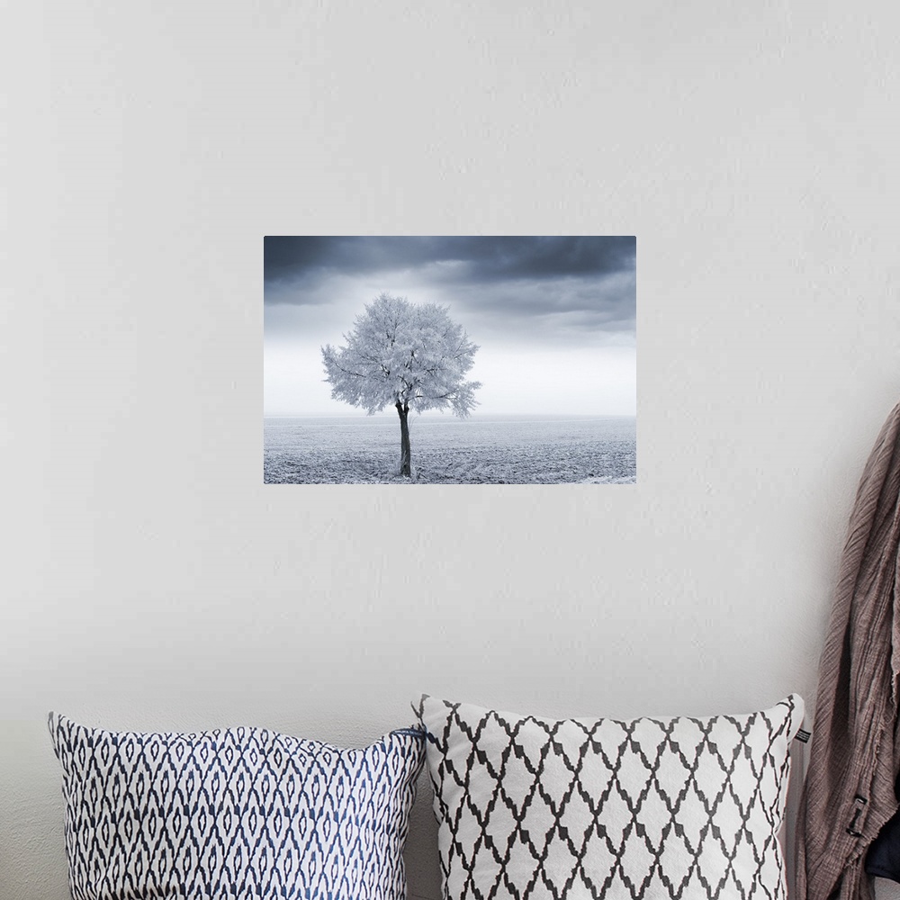 A bohemian room featuring Photograph of a single tree in a frozen field.