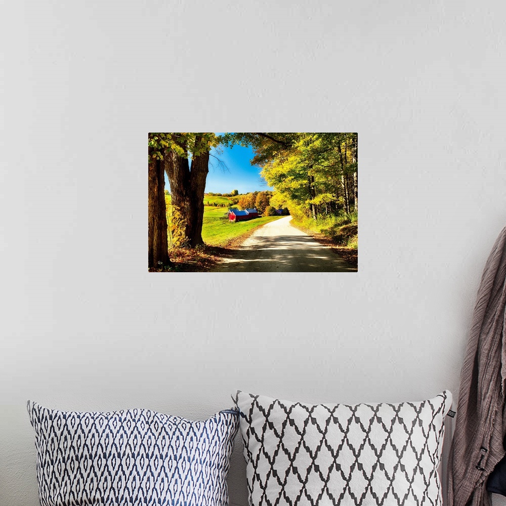 A bohemian room featuring Fine art photo of an old-fashioned barn in a field at the edge of a road in a forest in New England.