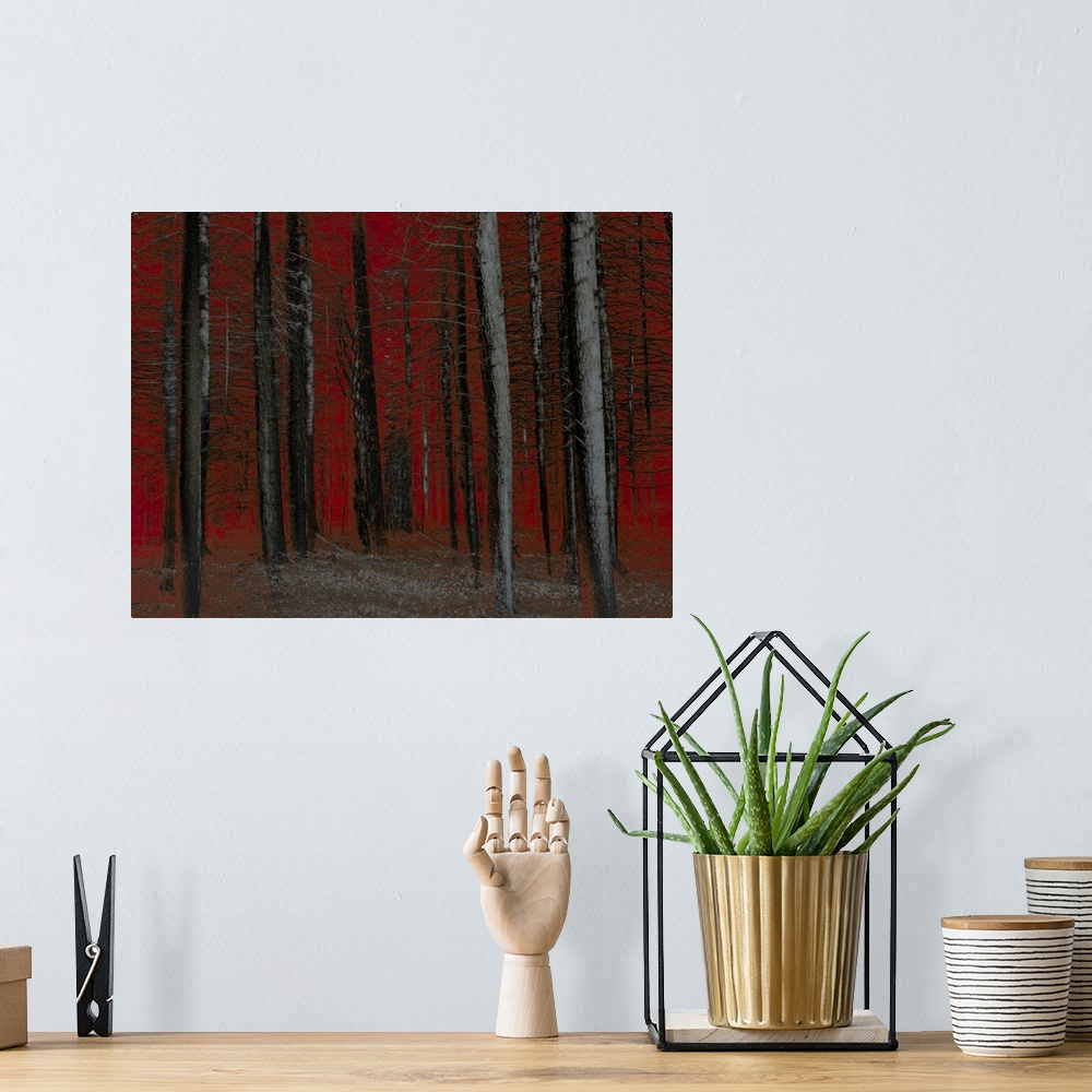 A bohemian room featuring Fine art photograph of bare trees in Winter woods with a bold red sky and background.