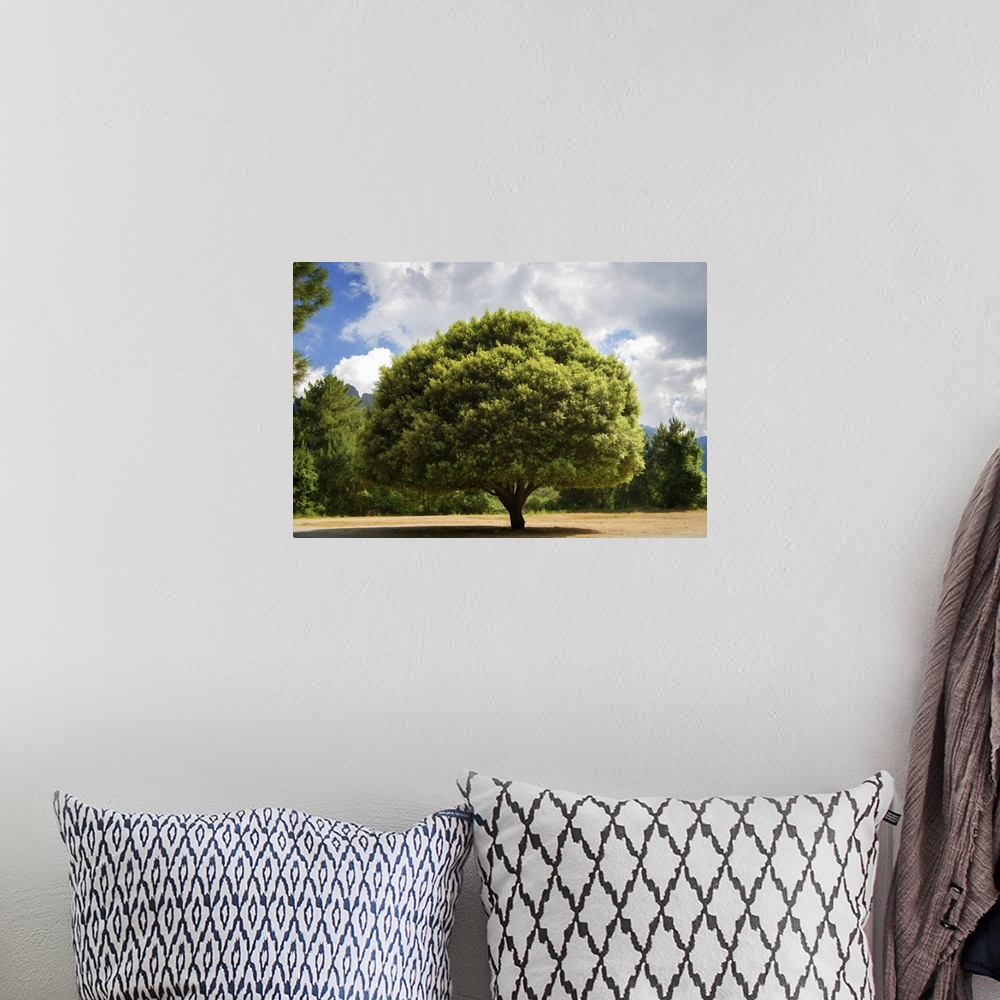 A bohemian room featuring A photograph of a lone tree standing in a clearing in the countryside.