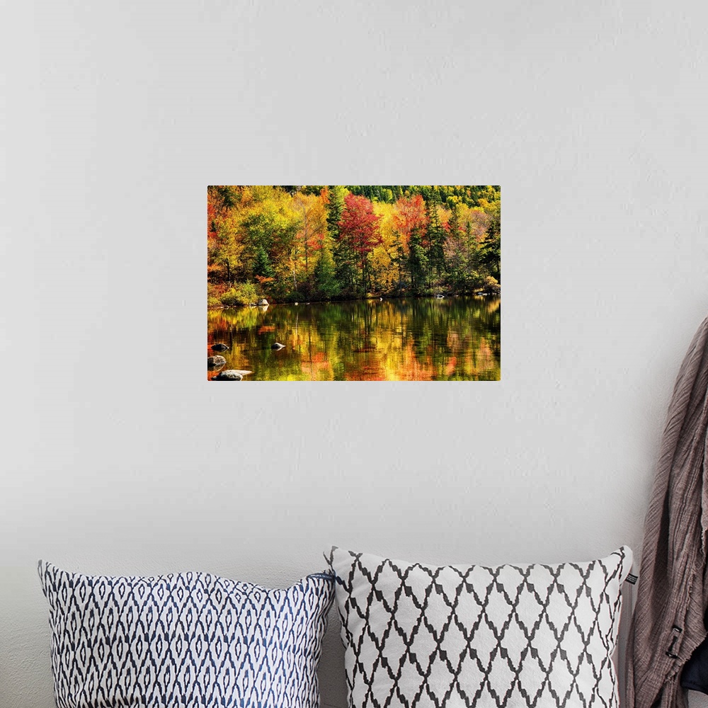 A bohemian room featuring Fine art photo of bright colors of a forest in autumn being reflected in a pond.