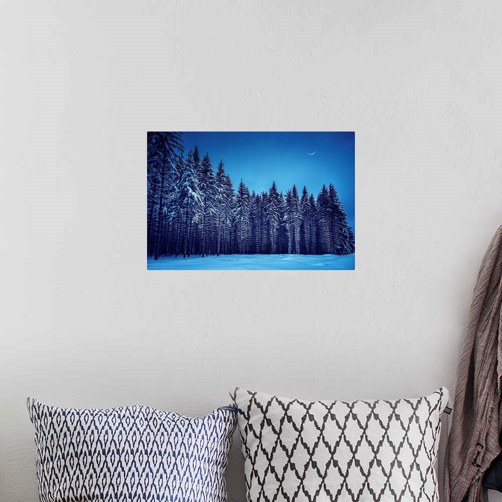 A bohemian room featuring Fir trees in a blue winter atmosphere