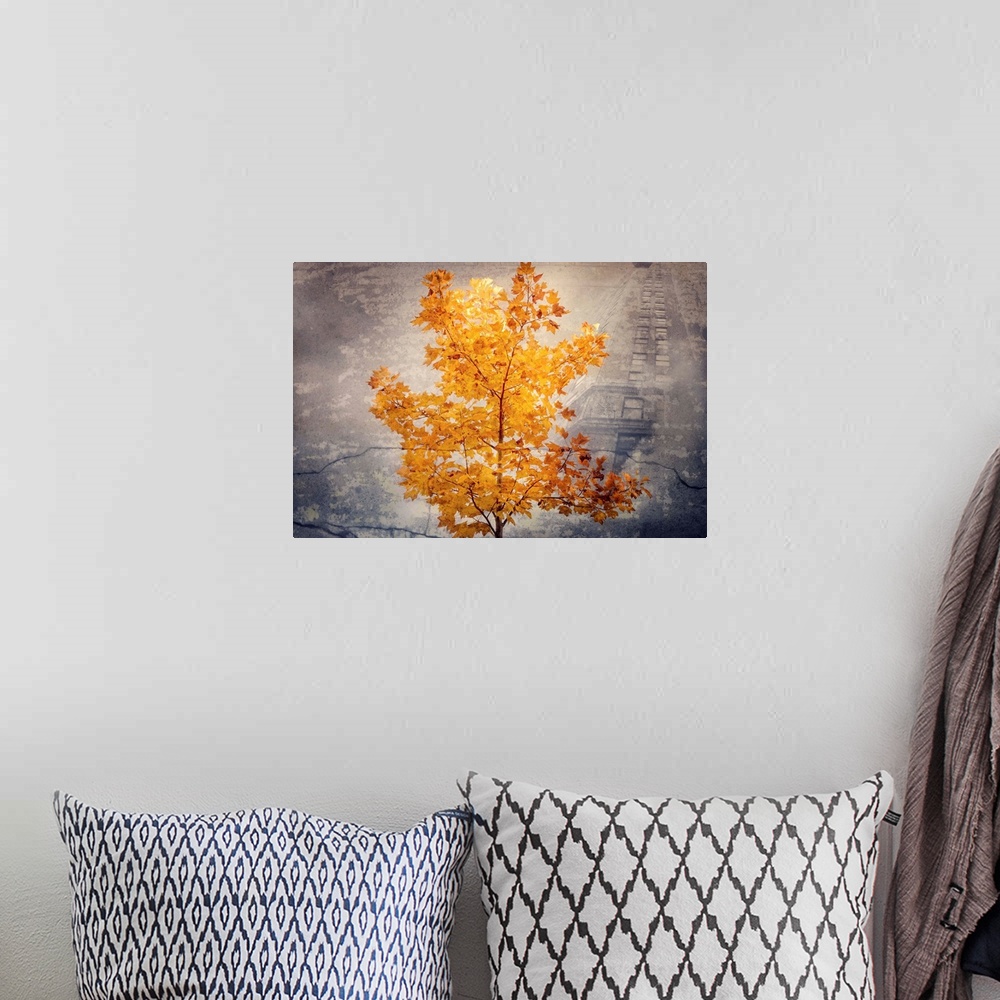 A bohemian room featuring Photographic composite with a beautifully lit Fall tree in the foreground and a tall building in ...