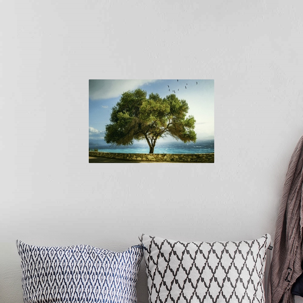 A bohemian room featuring A photograph of a lone tree hanging over crystal blue water.