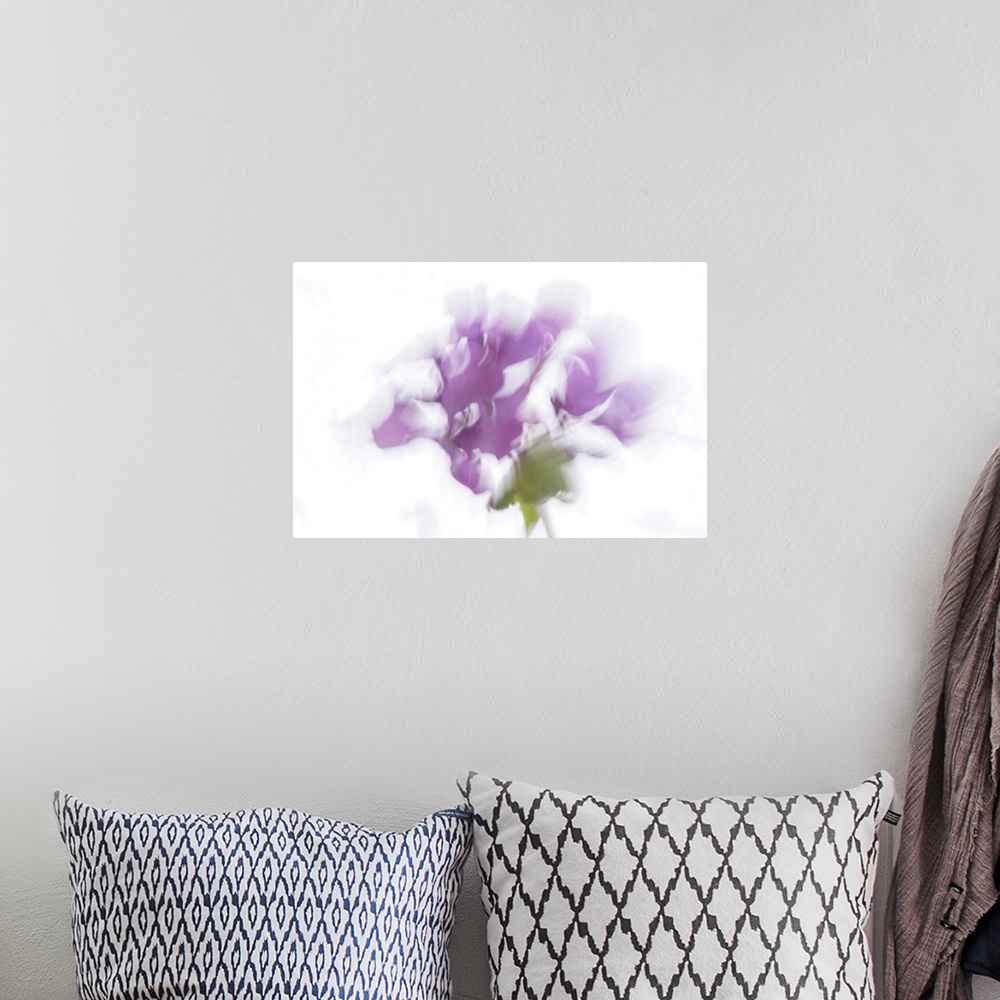 A bohemian room featuring Artistically blurred photo. Brushstrokes of light with the scent of a flower.