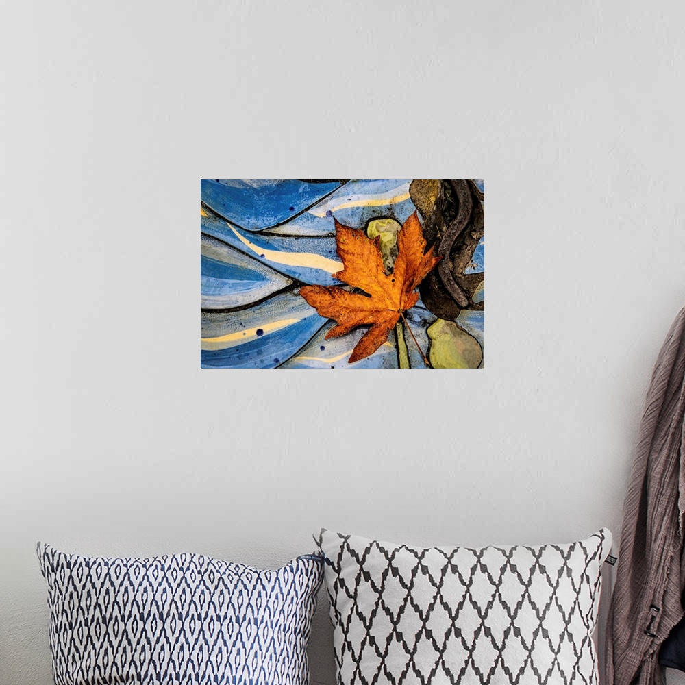 A bohemian room featuring Fine art photo of a fallen leaf on an abstract natural background.