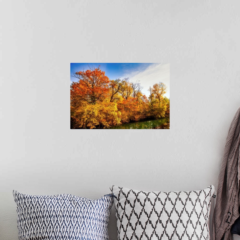 A bohemian room featuring Colorful trees in autumn along a pond