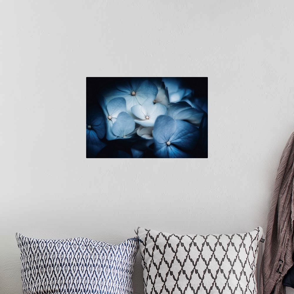 A bohemian room featuring Soft light on blue Hydrangeas