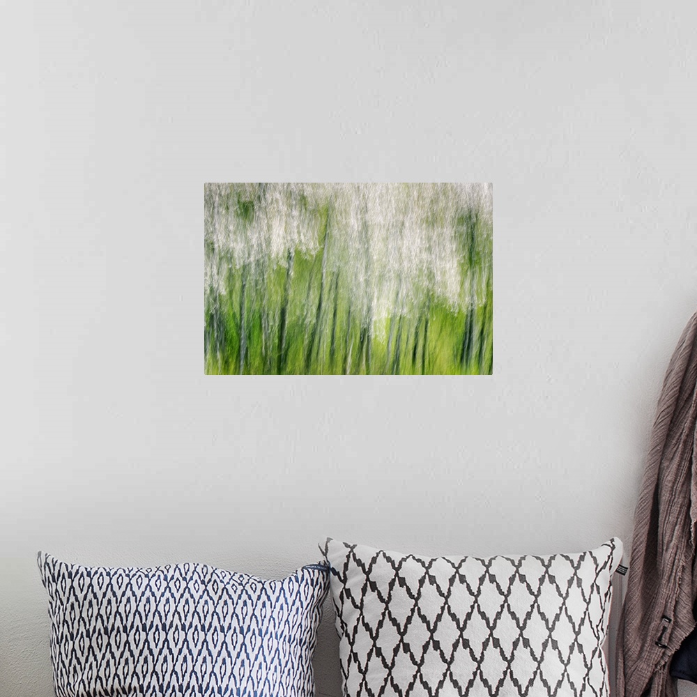 A bohemian room featuring Blurred motion image of a a row of blossoming trees, creating an abstract image.