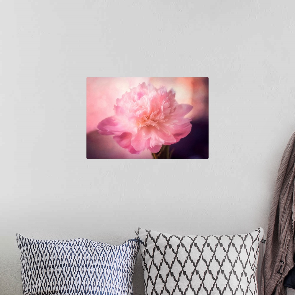 A bohemian room featuring Pink peony with photo texture