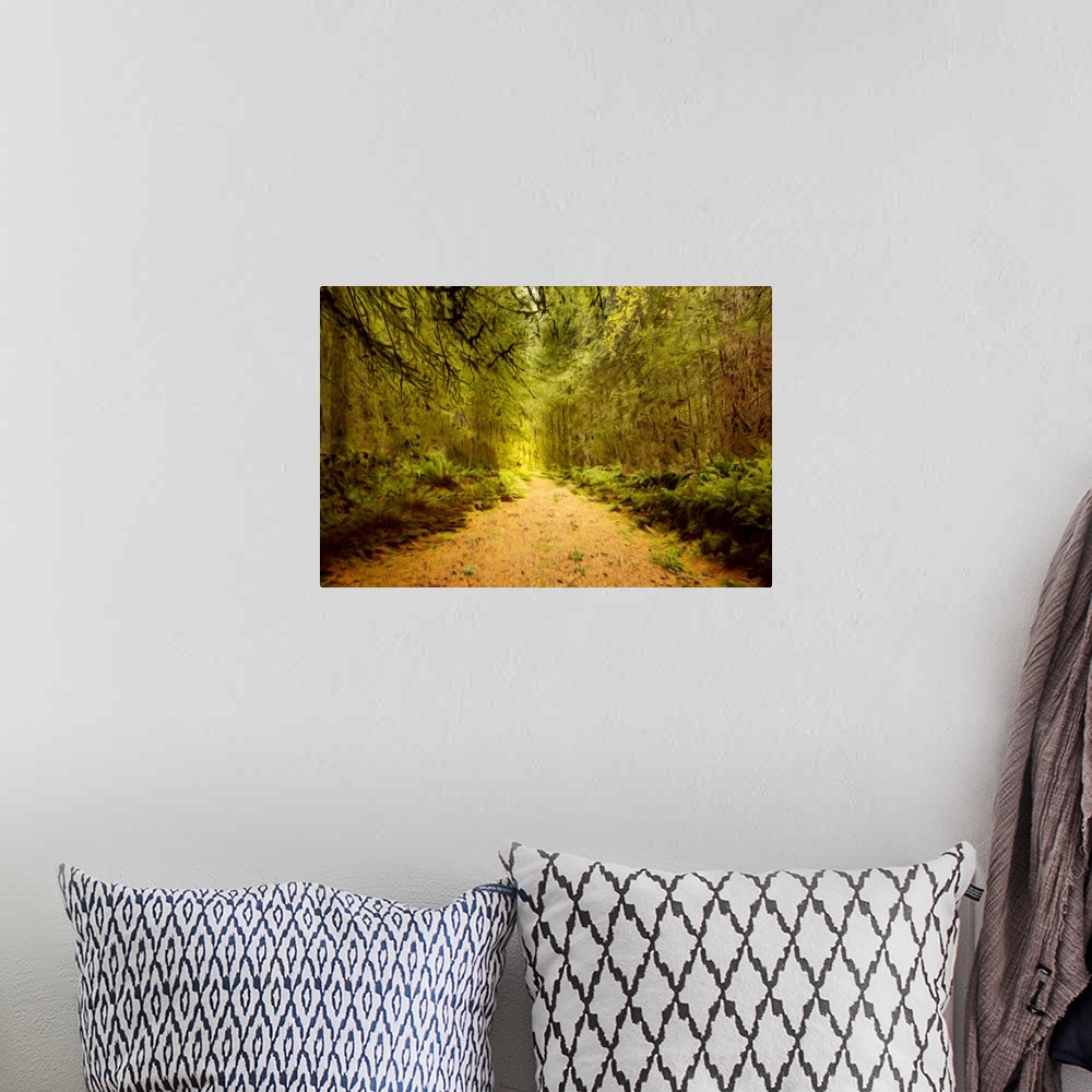 A bohemian room featuring Creative image of a path in a forest.