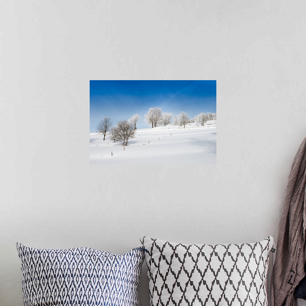 A bohemian room featuring A field covered in snow in the winter under a bright blue sky.