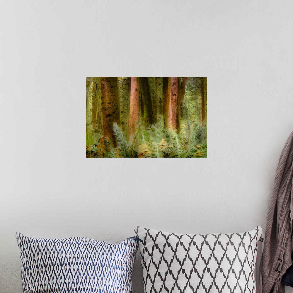 A bohemian room featuring An creative photograph of a forest.