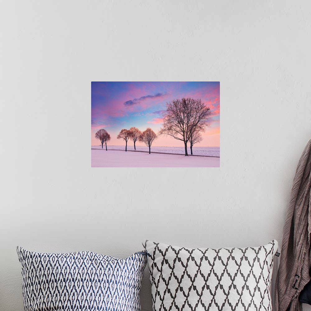 A bohemian room featuring Sunset over a snowy landscape with trees in the foreground