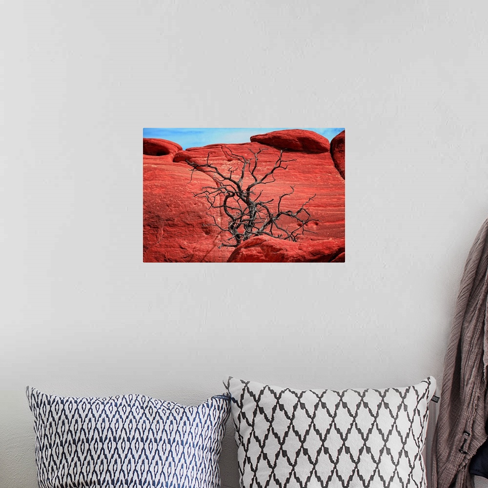 A bohemian room featuring Dead tree in front of red rocks