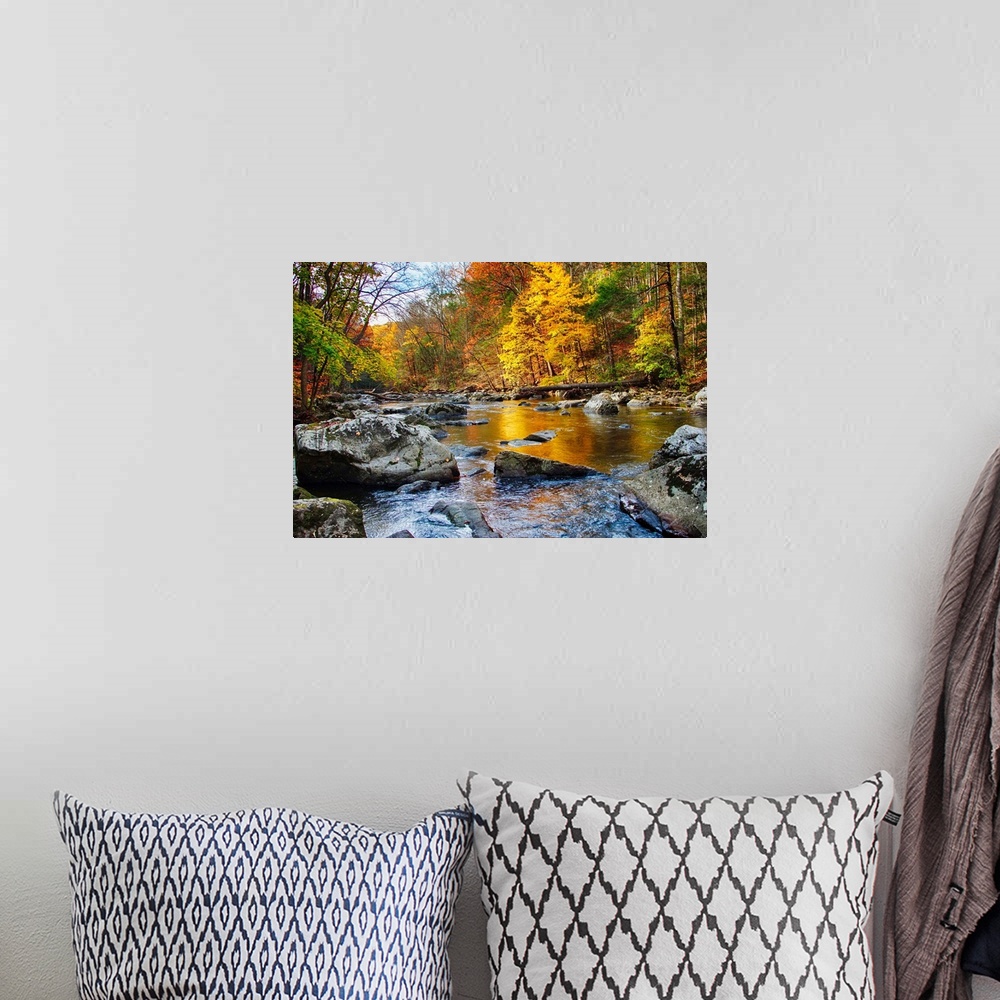 A bohemian room featuring Vibrant hues of Fall foliage, Black River, New Jersey.