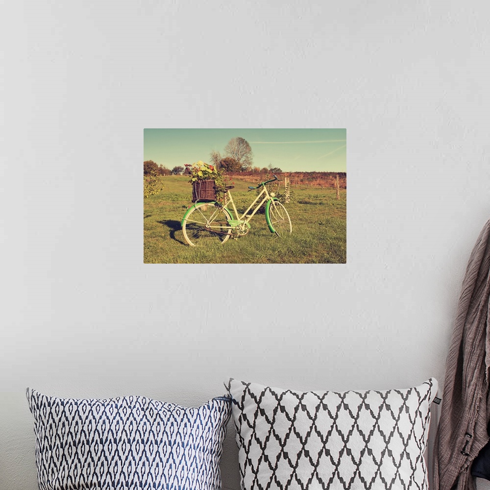 A bohemian room featuring A photograph of a vintage green and white bicycle standing in a field.