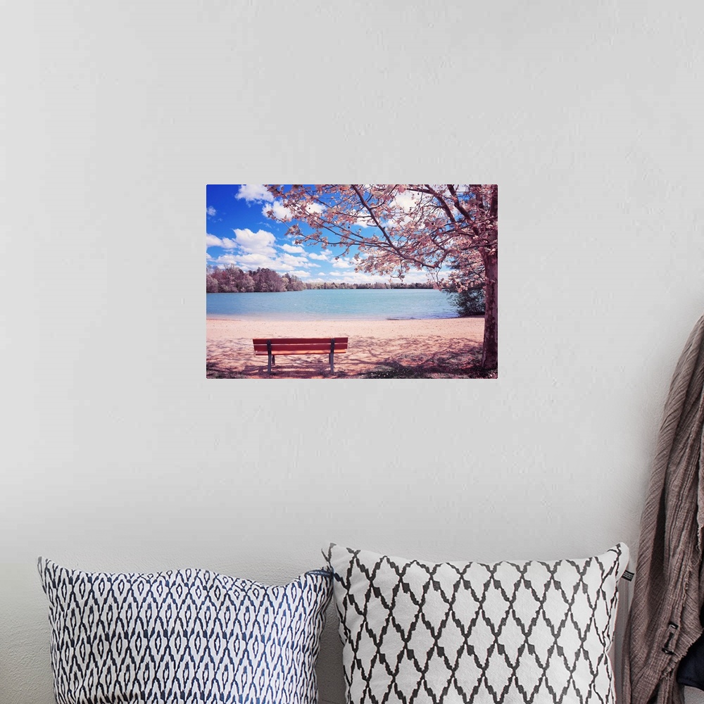 A bohemian room featuring This spring time landscape photograph shows and empty park bench under a blossoming cherry tree b...