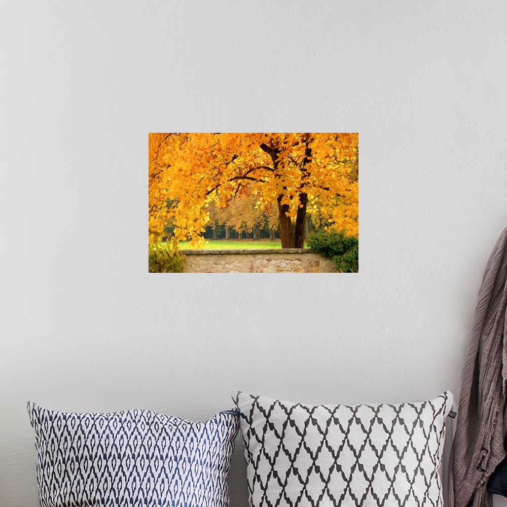 A bohemian room featuring Fine art photograph of a tree with bright yellow leaves in a forest.