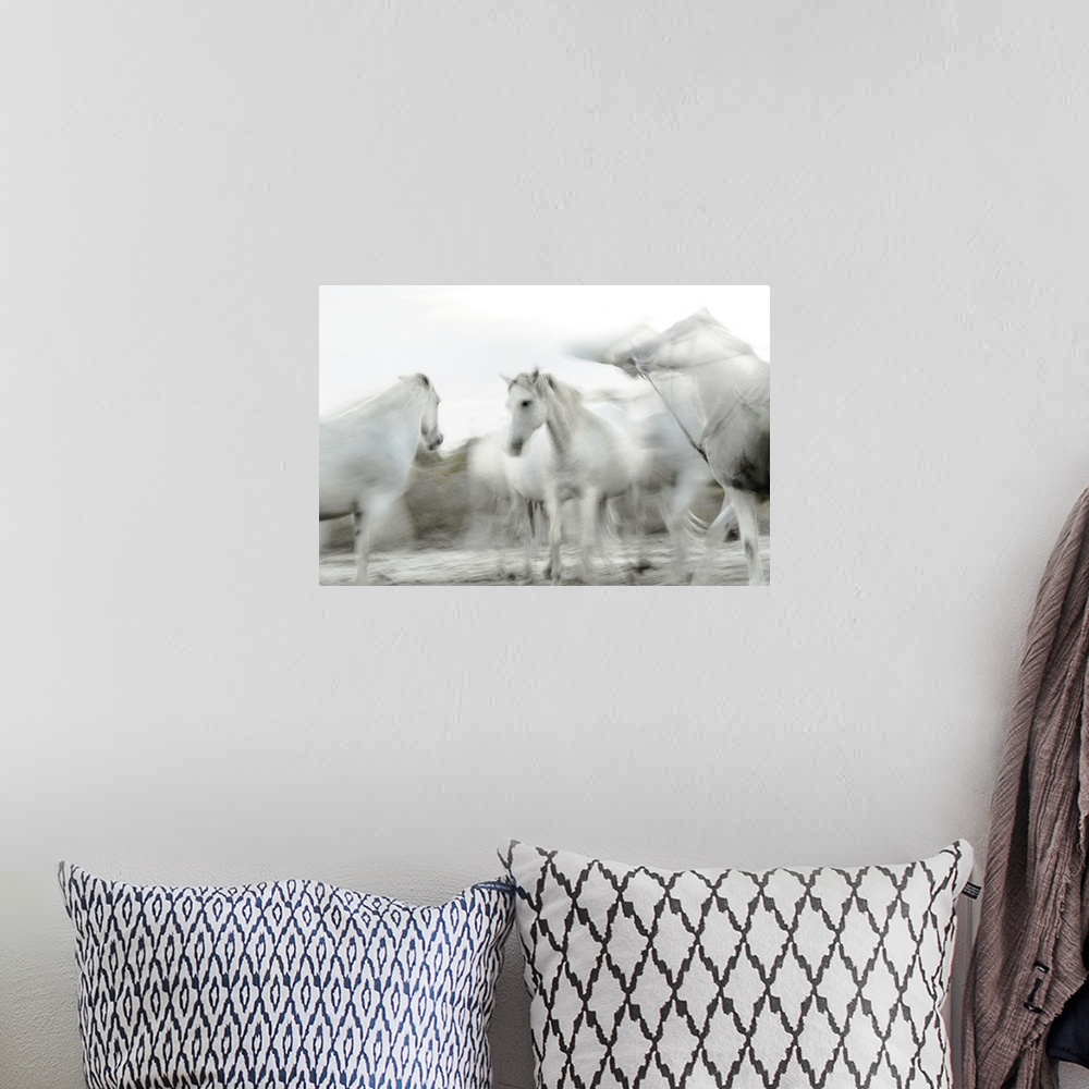 A bohemian room featuring Photograph of white horses in gray and white hues with a motion blur.