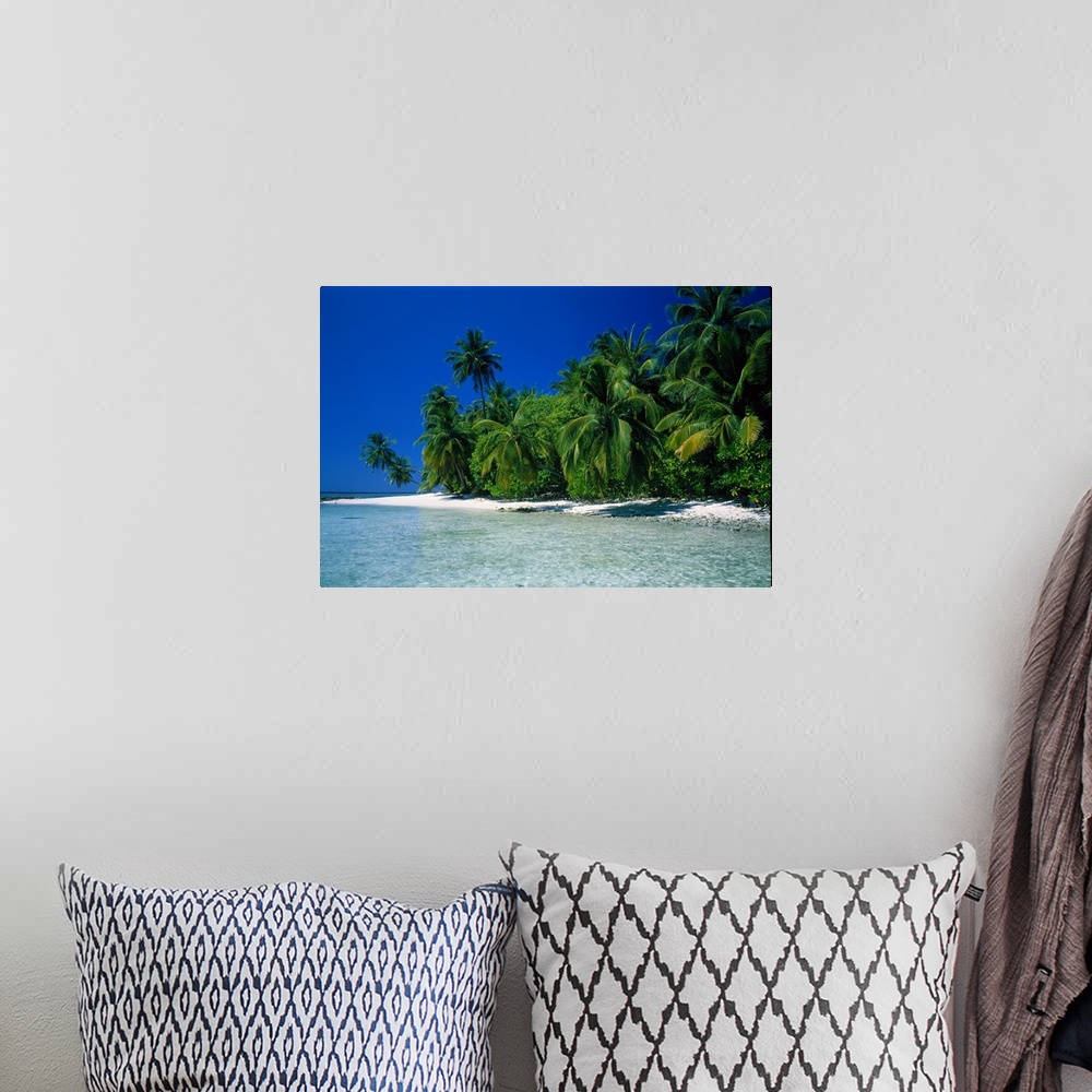 A bohemian room featuring Photographic print of a luscious forest of palm trees meeting a white sand beach with crystal cle...
