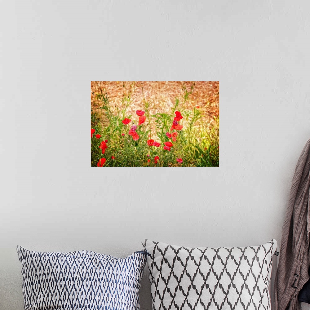 A bohemian room featuring Close-up of Wilting Poppies