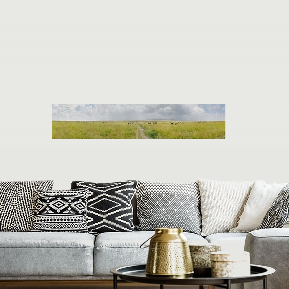 A bohemian room featuring Clouds over a landscape, Savannah, Masai Mara National Reserve, South Africa