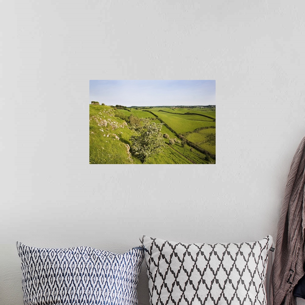 A bohemian room featuring Drumlin Landscape, From Roche Castle, County Louth, Ireland