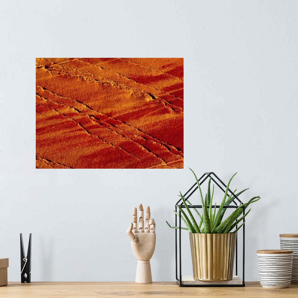 A bohemian room featuring Oversized landscape photograph of the surface of a grainy rock with raised thin lines caused by e...