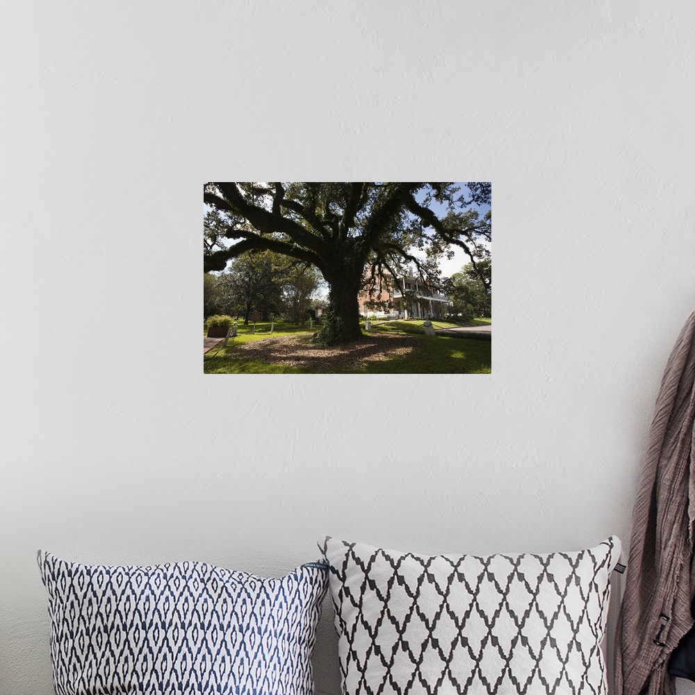A bohemian room featuring Evangeline oak tree in a garden, St. Martinville, St. Martin Parish, Louisiana