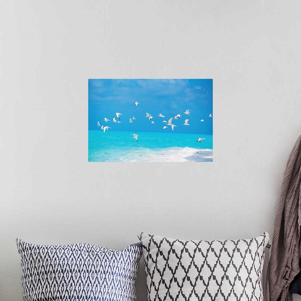 A bohemian room featuring Flock of birds flying over ocean