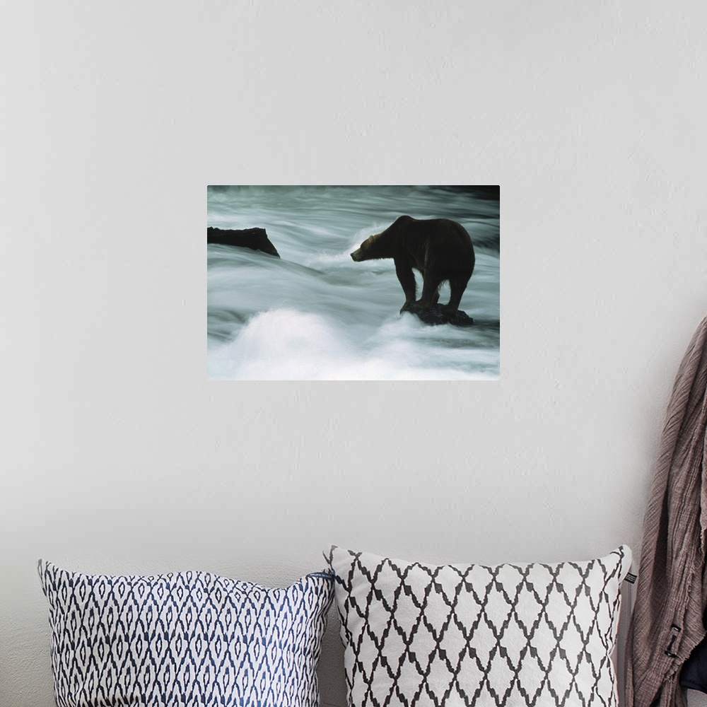 A bohemian room featuring Grizzly Bear Next to the Water in Alaska
