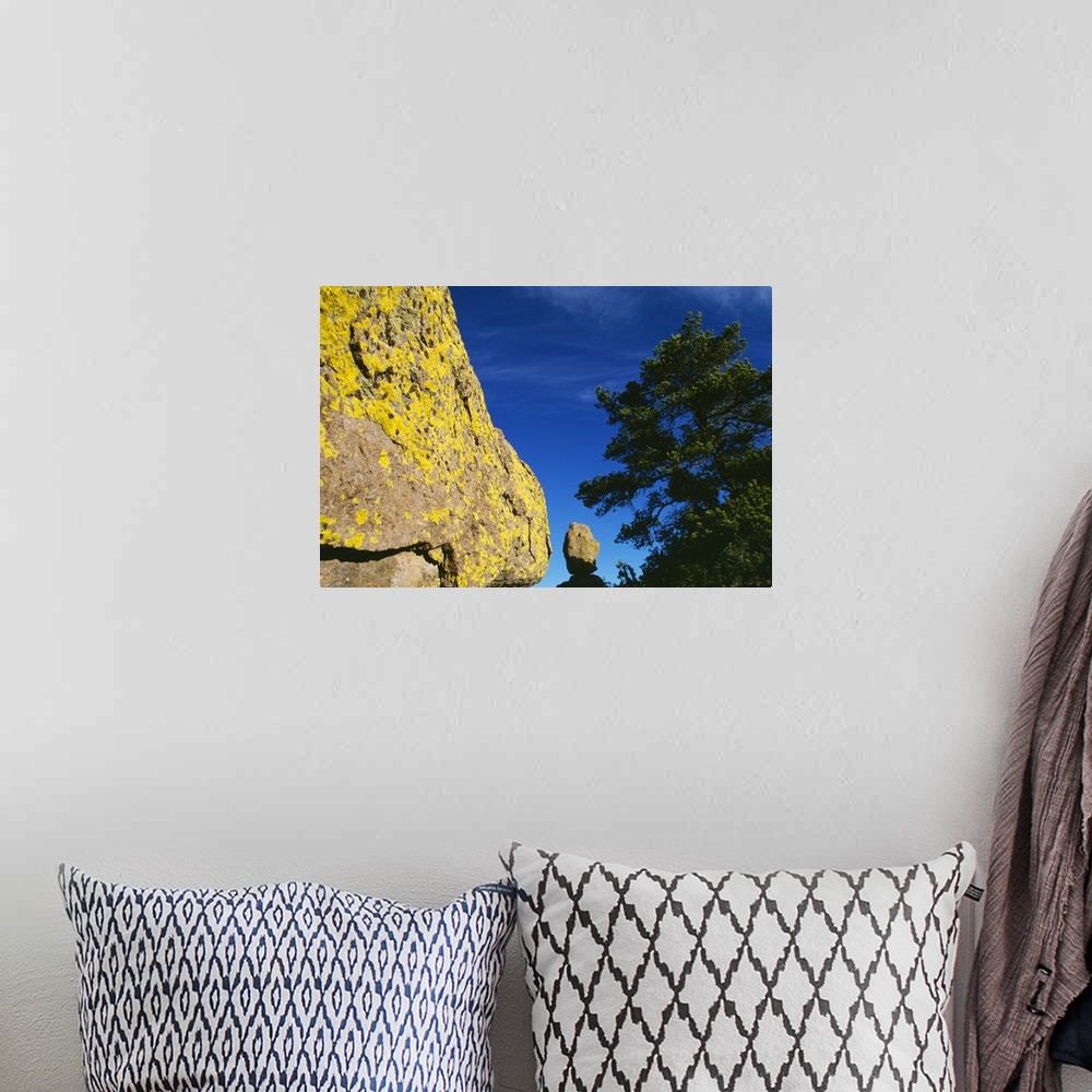 A bohemian room featuring Lichen-covered boulder, pine tree, blue sky, Chiricahua, New Mexico