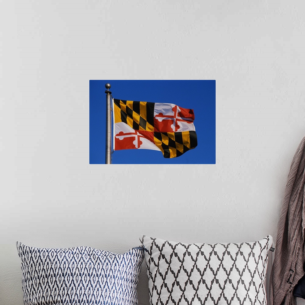 A bohemian room featuring Maryland State Flag