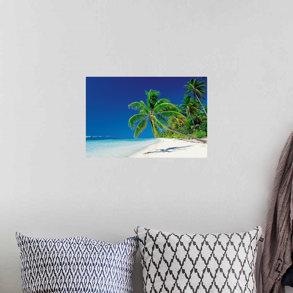 A bohemian room featuring Large canvas print of palm trees leaning over a beach with clear water lapping ashore.
