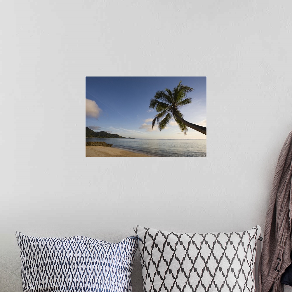A bohemian room featuring Palm trees on the beach, Fairyland Beach, Mahe Island, Seychelles