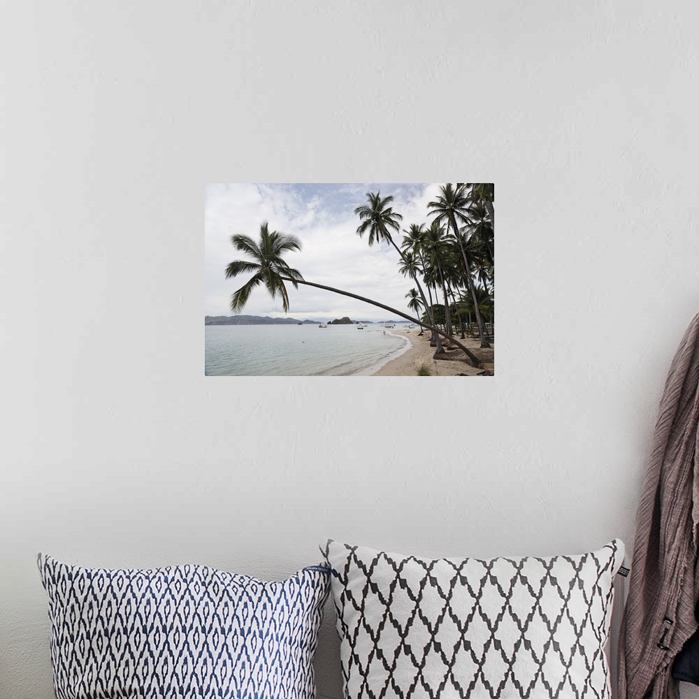 A bohemian room featuring Palm trees on the beach, Puntarenas, Puntarenas Province, Costa Rica