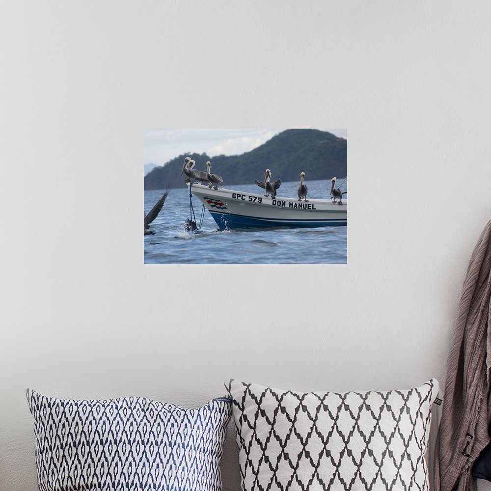 A bohemian room featuring Pelicans on a boat, Bahia Hermosa, Gulf Of Papagayo, Guanacaste, Costa Rica