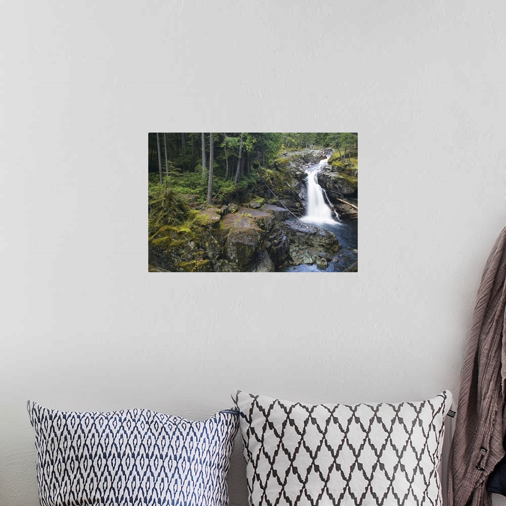 A bohemian room featuring Rocky Silver Falls, Mount Rainier National Park, Washington