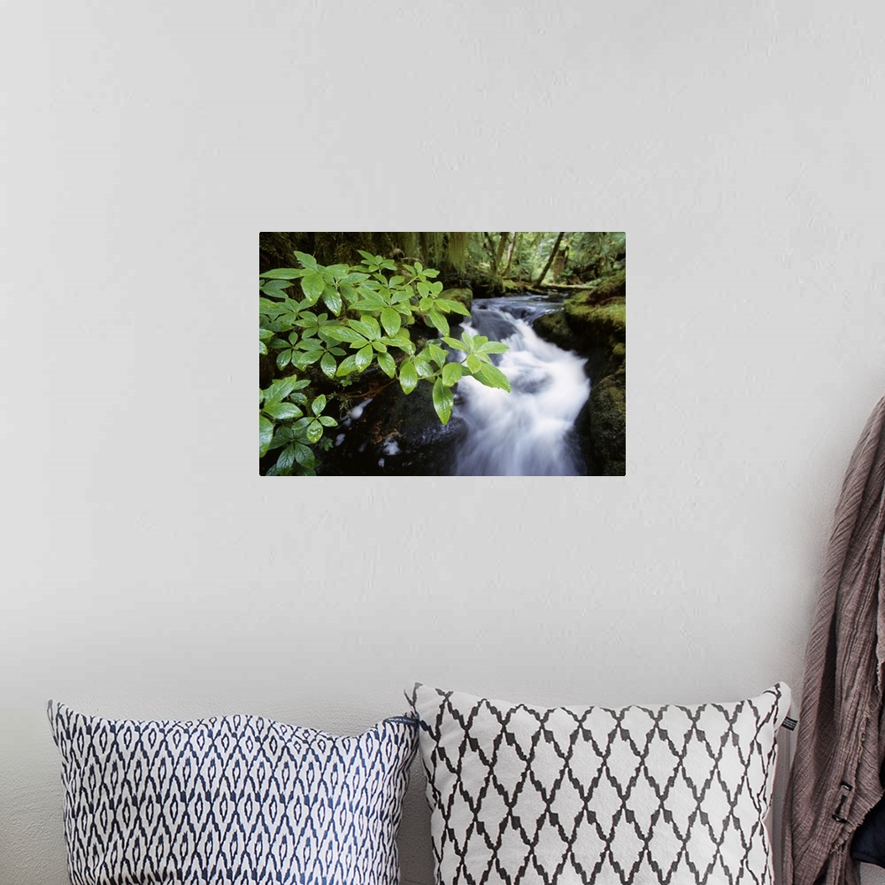 A bohemian room featuring Photograph taken of rushing water that serves as a background to a branch of leaves in the forefr...
