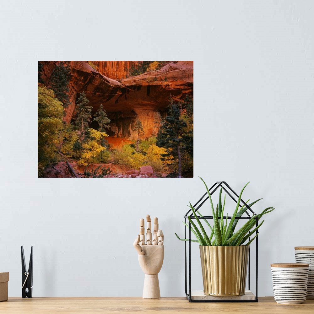 A bohemian room featuring Conifer and deciduous trees are growing at the base of a cliff in a desert canyon where the entra...