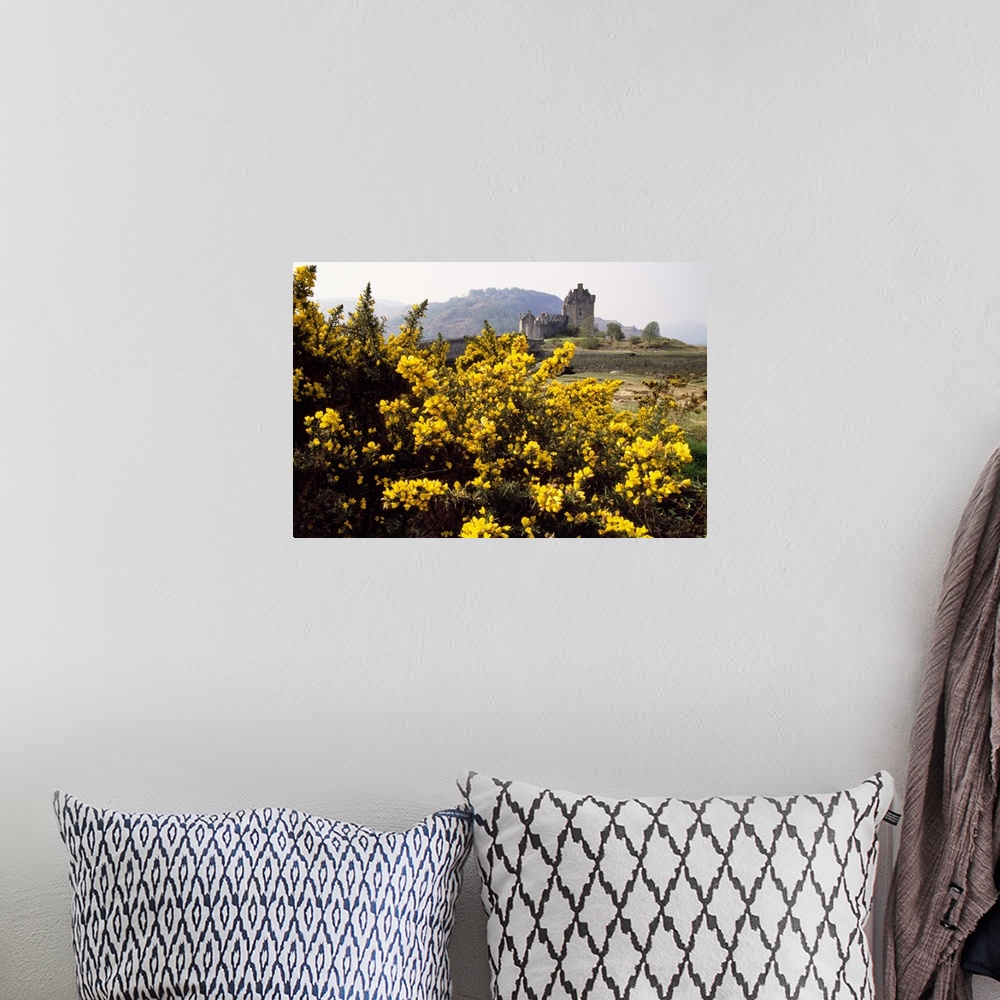 A bohemian room featuring Wildflowers in bloom, distant Eilean Donan Castle, Scotland.